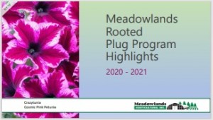 MHI Plug Program Photo Highlights