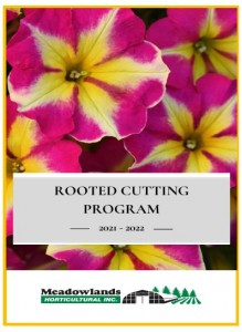 Screenshot 2022 MHI Rooted Plug Program