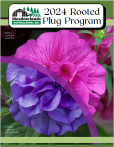 2024 MHI Rooted Plug Program-cover