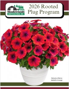 2026 MHI Rooted Plug Program