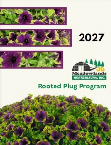 2026 - 2027 Rooted Plug Program